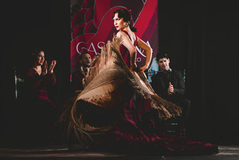 Granada: Traditional Flamenco Show at Tablao Casa Ana - Key Points