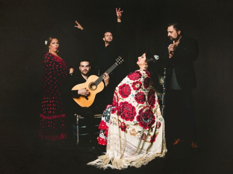 Granada: Traditional Flamenco Show at Tablao Casa Ana - What You Can Expect from the Flamenco Show at Casa Ana