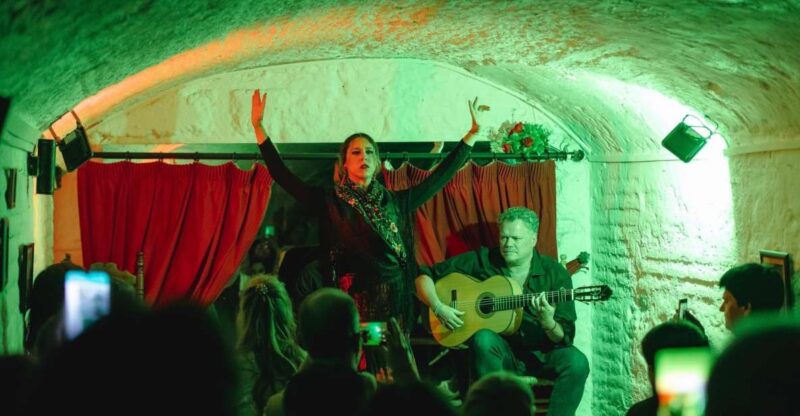 Granada: Traditional Flamenco Show in a Cave Entry Ticket - Included Features
