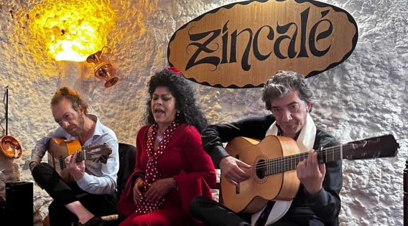 Granada: ZINCALÉ Flamenco Show in Sacromonte Caves - Highlights of the Experience