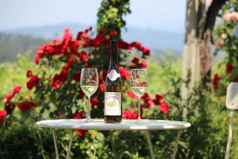 Granbazán Winery: Guided Tour and Wine Tasting - Experience Highlights
