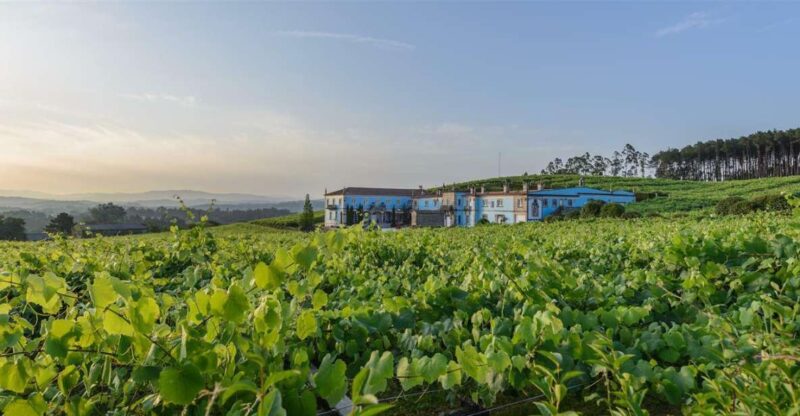Granbazán Winery: Guided Tour and Wine Tasting - Accessibility and Languages