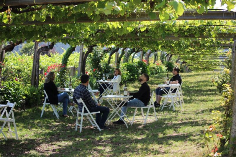 Granbazán Winery: Guided Tour and Wine Tasting - Customer Reviews and Ratings