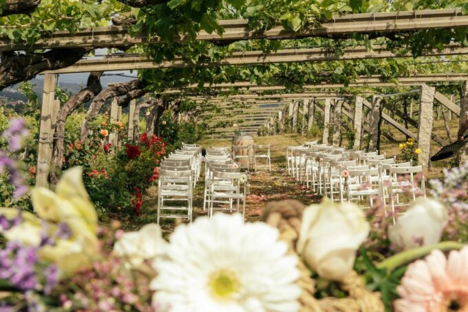 Granbazán Winery: Guided Tour and Wine Tasting - Exploring the Winery
