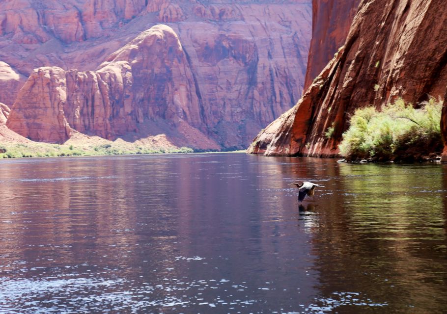 Grand Canyon: Glen Canyon and Horseshoe Bend Raft Trip - Frequently Asked Questions