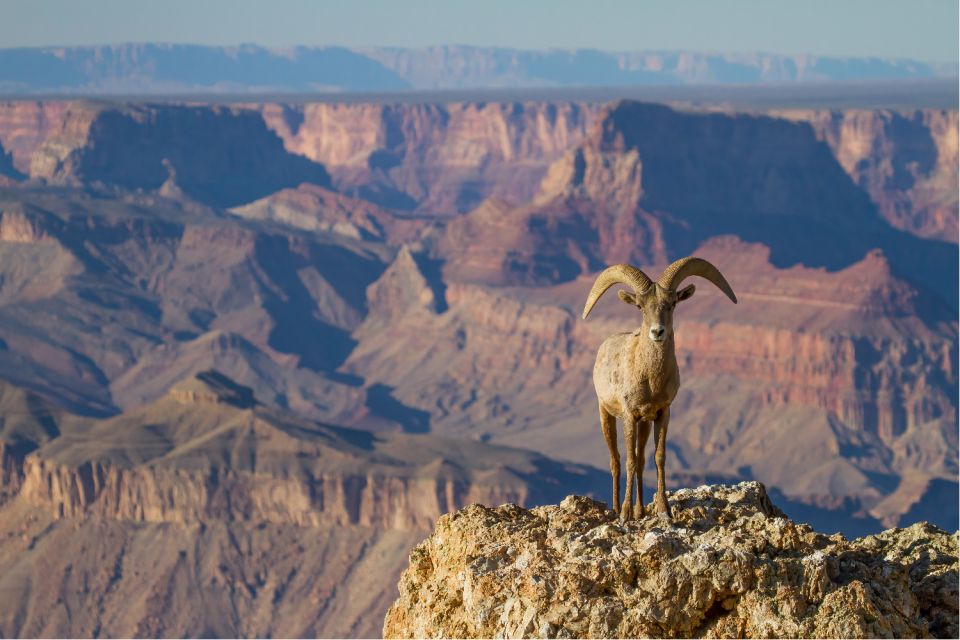 Grand Canyon: Self-Guided South Rim Tour - Breathtaking Viewpoints
