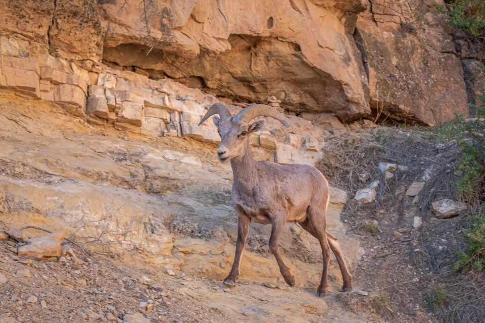 Grand Canyon: Self-Guided South Rim Tour - Recap