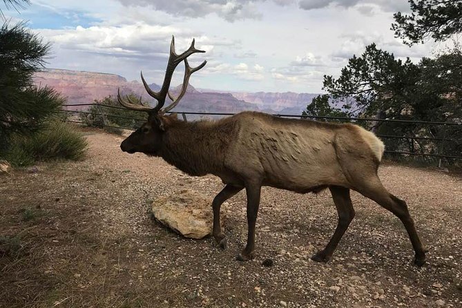 Grand Canyon Signature Hummer Tour With Optional Sunset Views - Tour Itinerary