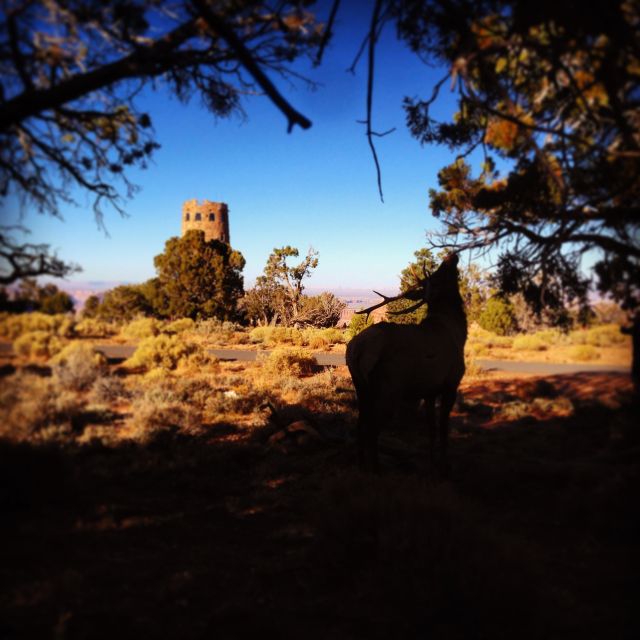 Grand Canyon: Sunset Tour From Biblical Creation Perspective - Companys Background