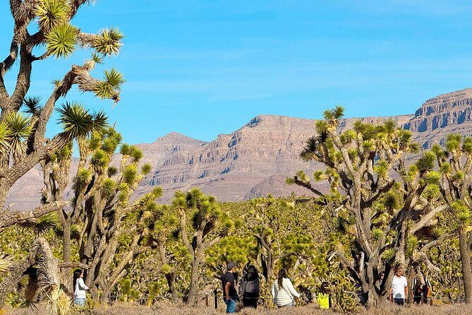 Grand Canyon West Skywalk Hoover Dam Ghost Town Day Tour - Pricing and Value