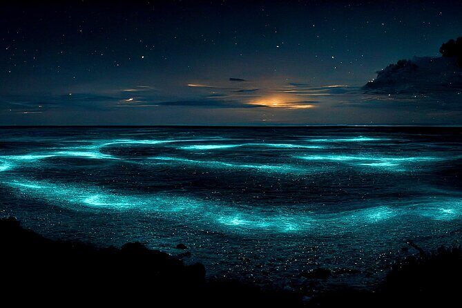 Grand Cayman Bioluminescence Adventure - Authentic Experiences and Traveler Feedback