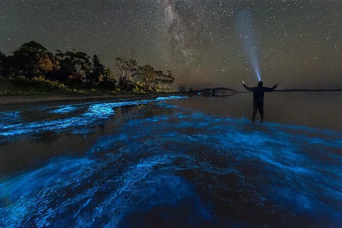 Grand Cayman Bioluminescence Adventure - Who Should Consider This Tour?