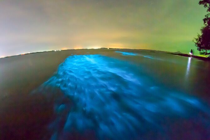 Grand Cayman Bioluminescent Bay Adventure - The Sum Up: Is It Worth It?