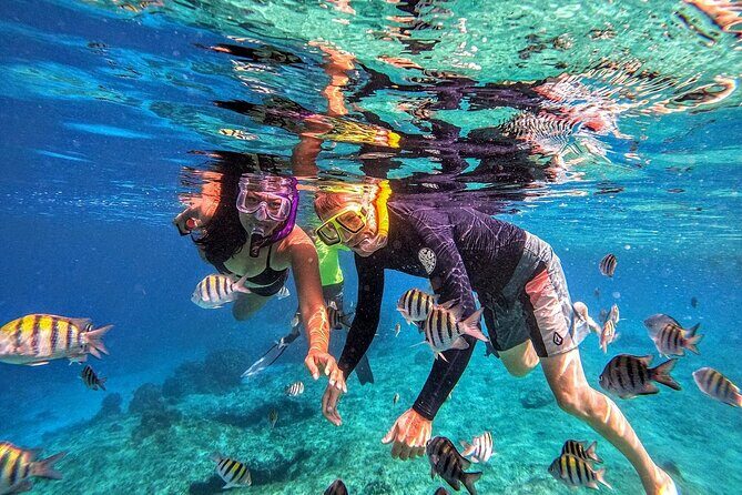 Grand Cayman Coral Reefs and Stingray City Combo Tour - FAQ