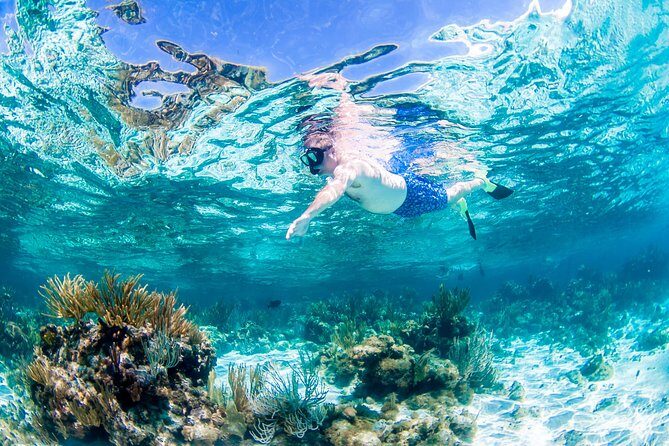 Grand Cayman Kittiwake and Reef Sail - Value and Pricing