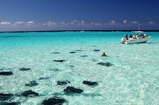 Grand Cayman Reef & Stingray City Snorkeling Adventure - Who Is This Tour Best Suited For?