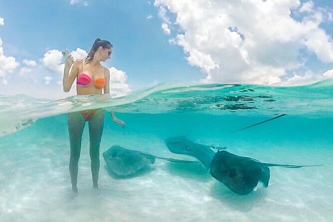 Grand Cayman Stingray City Sandbar Adventure - What’s Included and Why It Matters
