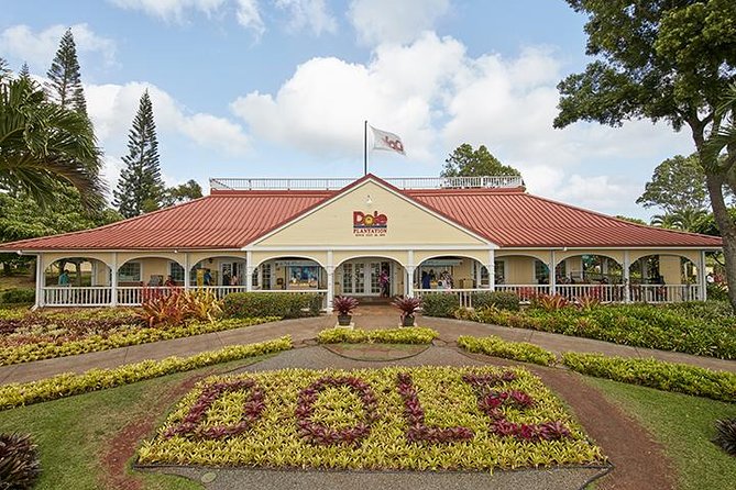 Grand Circle Island and Haleiwa 9 Hour Tour - Visitor Reviews
