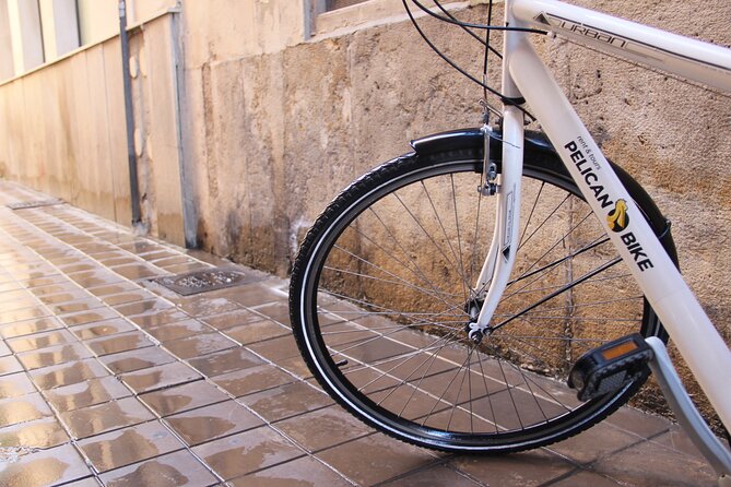 GRAND CITY Private Guided Tour on Bike, E-Bike, E-Step or Segway - Infant Seat Availability