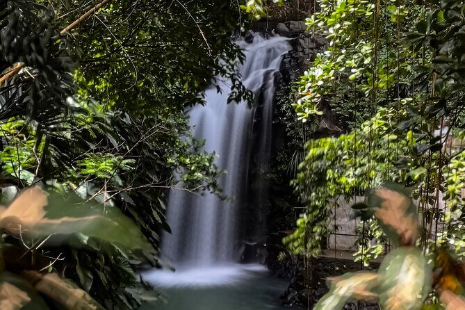 Grand Etang Lake, Annandale WaterFalls & Fort Frederick Grenada - FAQ  