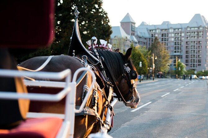 Grand Horse-Drawn Carriage Tour of Victoria - FAQ