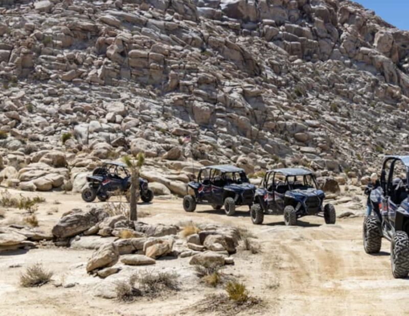 Grand Junction: Womens-Only Guided Adventure Tour - Who Should Consider This Tour?