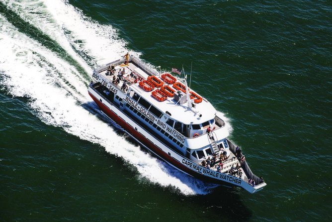 Grand Lighthouse Tour From Cape May - Itinerary and Schedule
