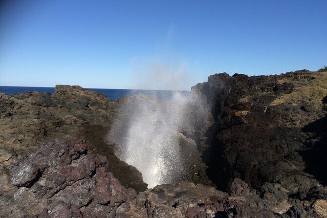 Grand Pacific Drive and Southern Highlands Tour - The Nuts and Bolts: What You Can Expect  