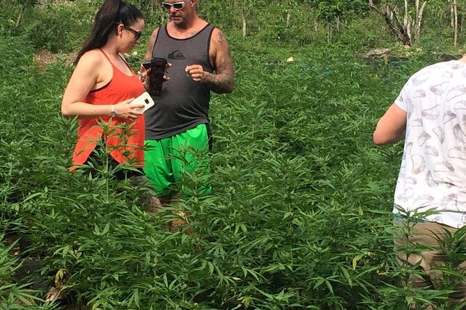 Grand Palladium from MBJ Airport - Key Points