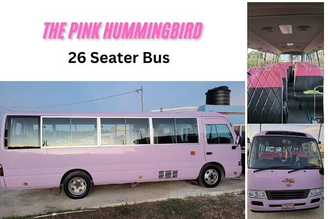 Grand Palladium MBJ Airport Private Transfer - A Balanced Verdict