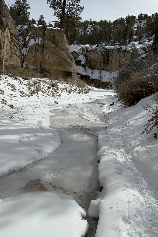 Grand Staircase All Day - Activities and Stops