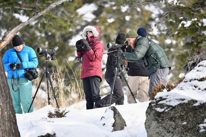 Grand Teton and Native American Petroglyph Tour - Sum Up