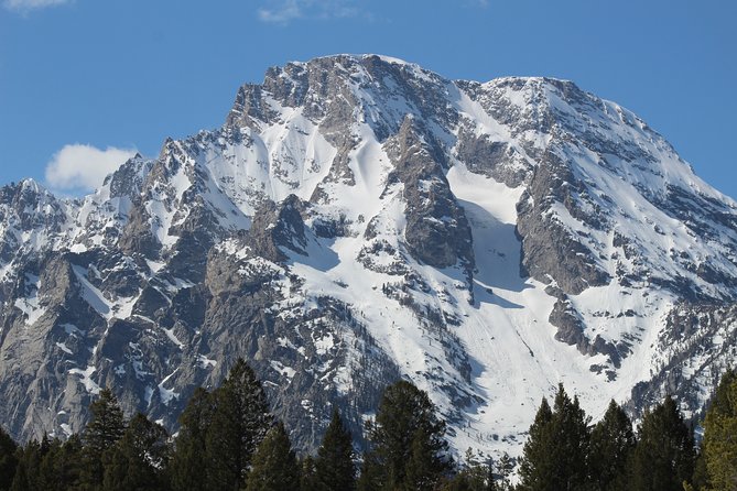 Grand Teton Half Day Tour - Customer Reviews