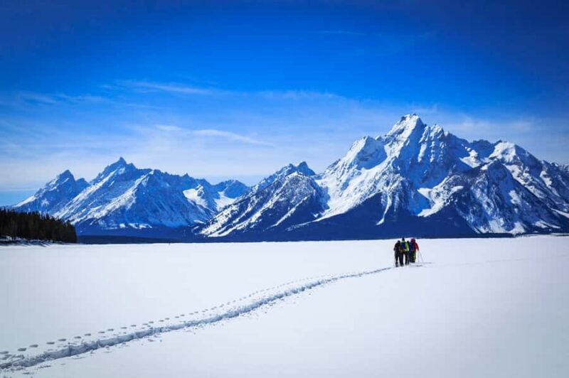 Grand Teton National Park: 4-Hour Beginner Cross-Country Ski - Key Points