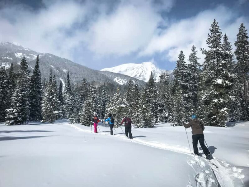 Grand Teton National Park: 4-Hour Beginner Cross-Country Ski - The Experience in Detail