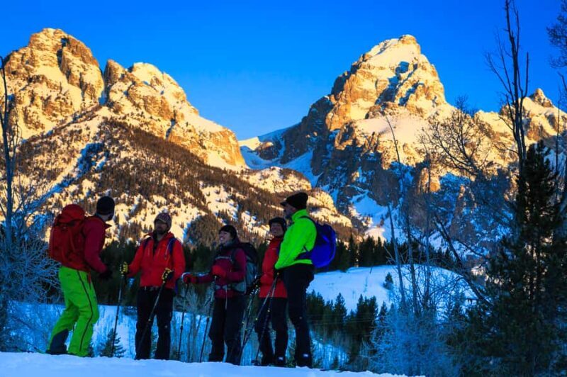 Grand Teton National Park: 4-Hour Easy Snowshoeing Tour - Who Will Love This Tour?