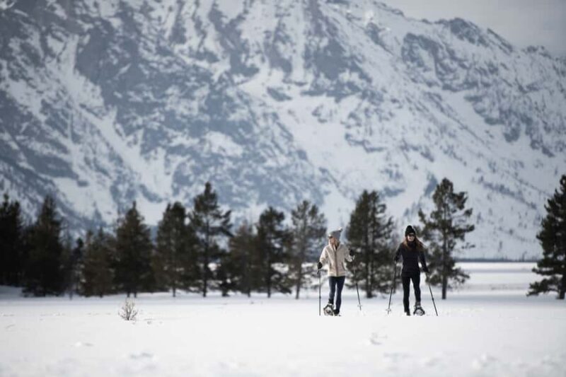 Grand Teton National Park: 4-Hour Easy Snowshoeing Tour - FAQs