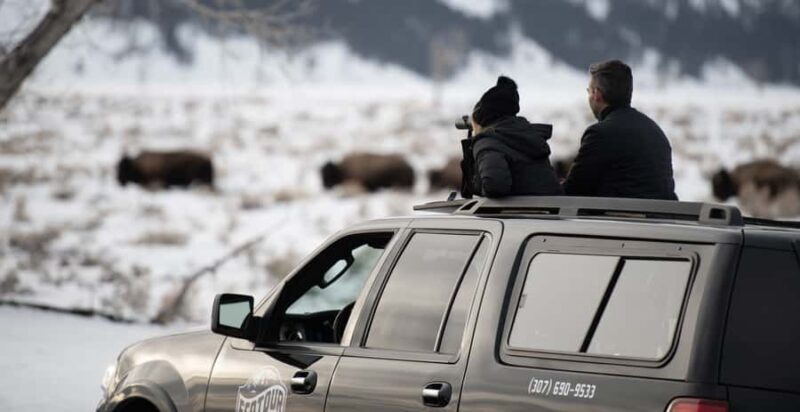 Grand Teton National Park: 8-Hour Willdlife & Snowshoe Tour - Starting Out in Jackson: The Gateway to Adventure