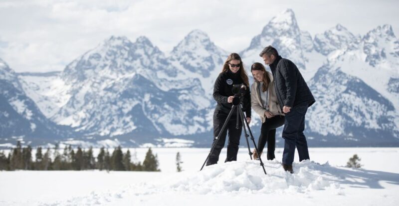 Grand Teton National Park: 8-Hour Willdlife & Snowshoe Tour - Price and Value Consideration