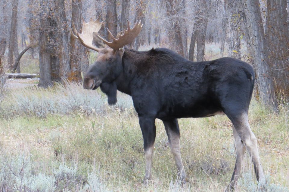 Grand Teton National Park: Full-Day Tour With Boat Ride - Booking and Cancellation
