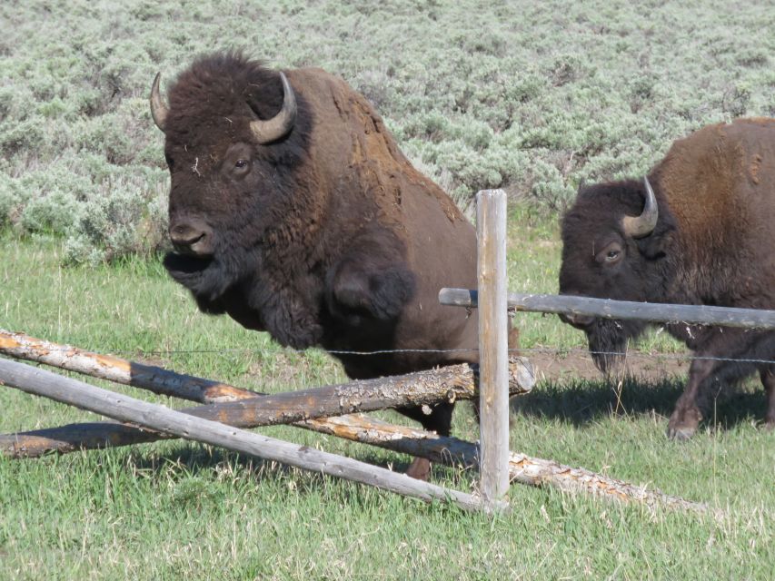Grand Teton National Park: Full-Day Tour With Boat Ride - Hiking to Hidden Falls
