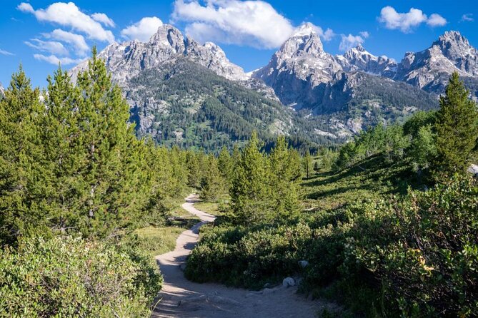 Grand Teton Self-Guided Driving Audio Tour - User-Friendly App and Accessibility