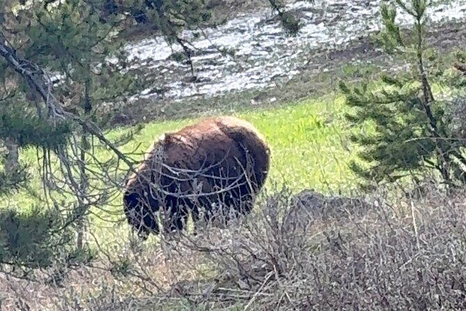 Grand Teton Sunrise Scenic Tour - Final Thoughts