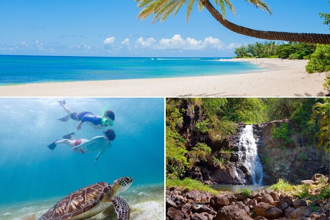 Grand Tour Around Oahu- Swim at Waterfall & Turtle Beach - Pickup and Arrival Information