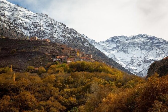 Grand Tour & Atlas Mountains Trip - Customer Reviews