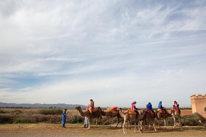 Grand Tour & Atlas Mountains Trip - Tips for Your Trip