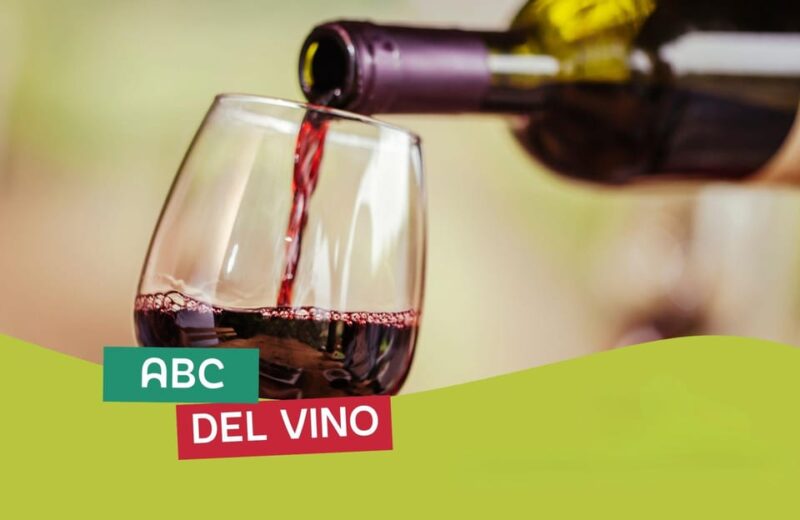 Grand Tour Italy, Bologna - The ABCs of Wine - Key Points