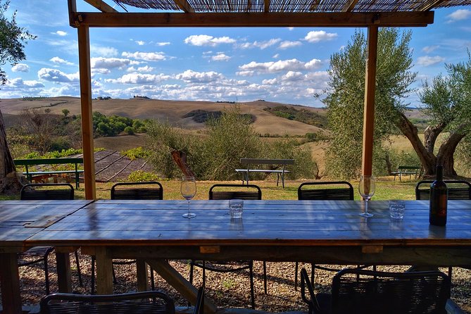 Grand Tour of Pienza, Montalcino, Montepulciano + Wine and Cheese Tasting - Pecorino Cheese Tasting