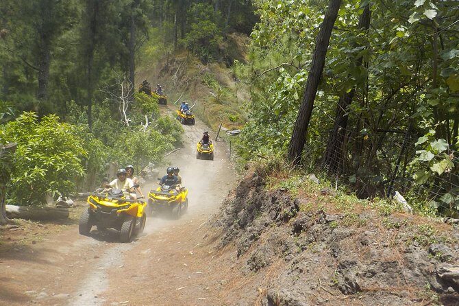 Grand Tour Quad Excursion in Moorea (Single or Two-Seater) - FAQs
