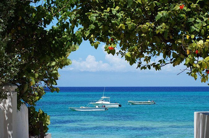 Grand Turk Historical Sightseeing Tour by Tram - What to Expect from This Tour